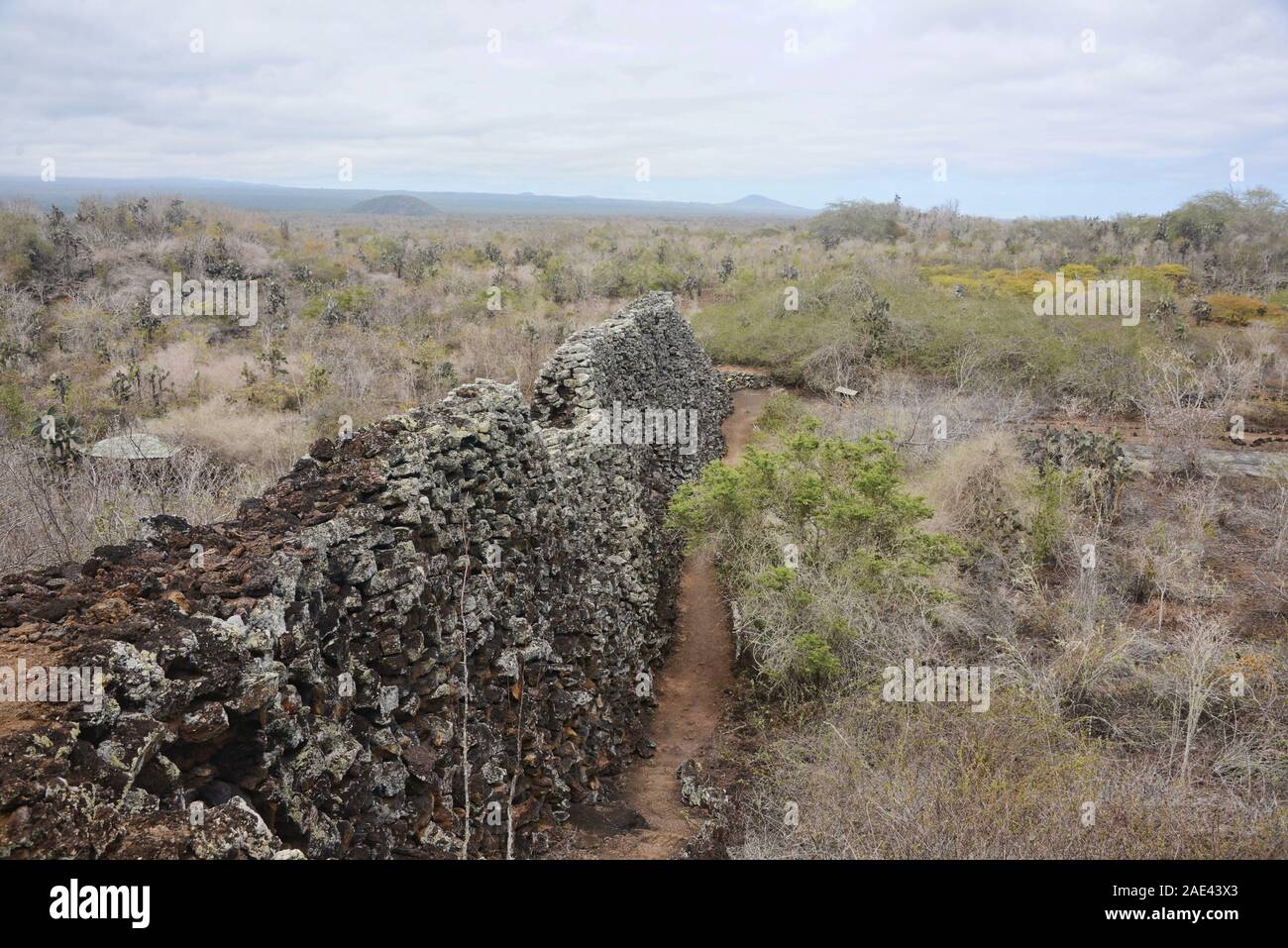 El Muro de las Lágrimas (Wall of Tears), Isla Isabela, Galapagos Islands, Ecuador Stock Photo