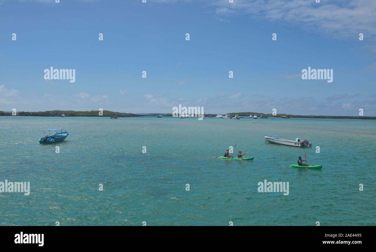Kayaking in the bay, Isla Isabela, Galapagos Islands, Ecuador Stock Photo