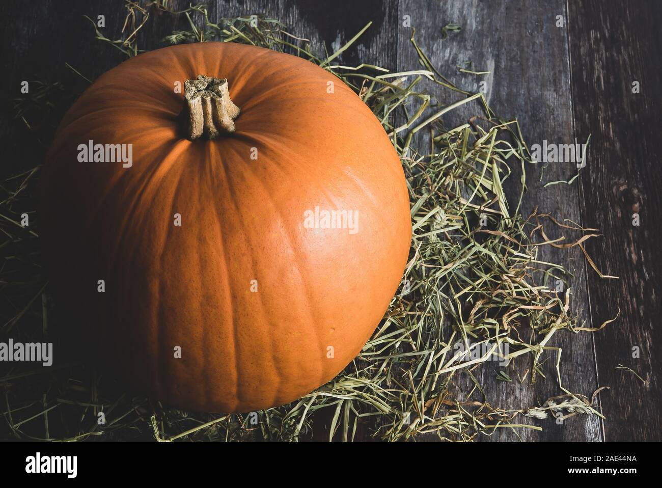Big rural decorative orange pumpkin on  rustic wooden background with rural hay as festive holiday decor for thanksgiving or halloween. Stock Photo
