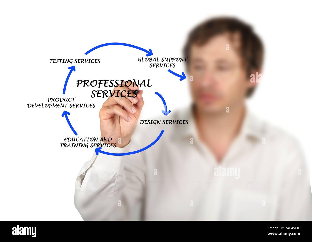 Diagram of professional services Stock Photo Alamy