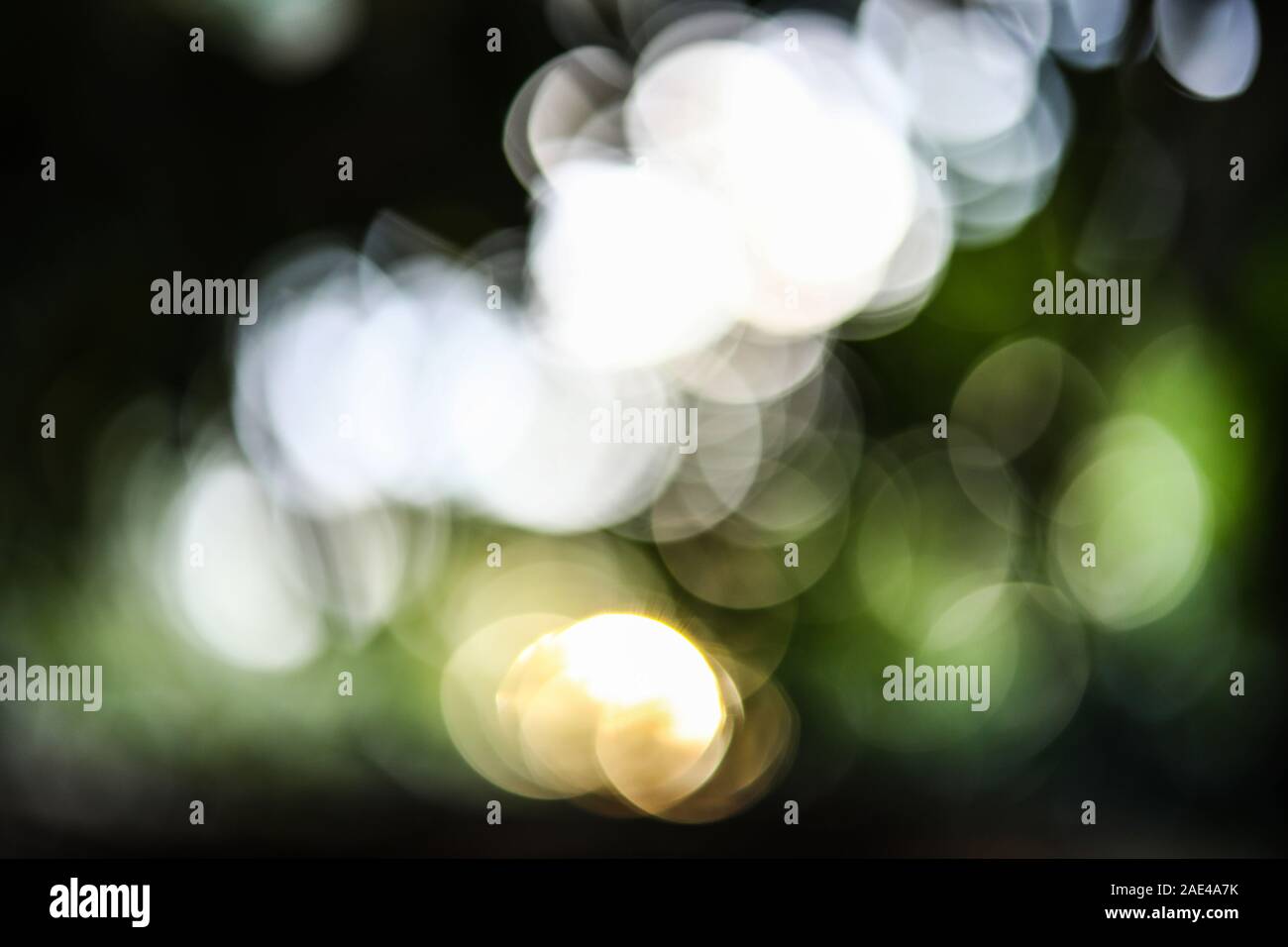 green nature background with bokeh backgrounds Stock Photo - Alamy