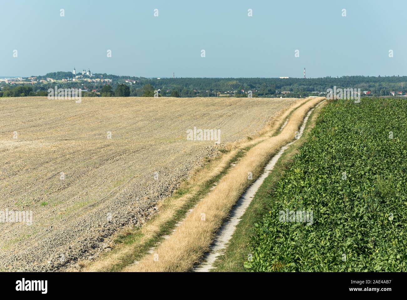 Dirt road separating the plowed field and beetroot field, the city of