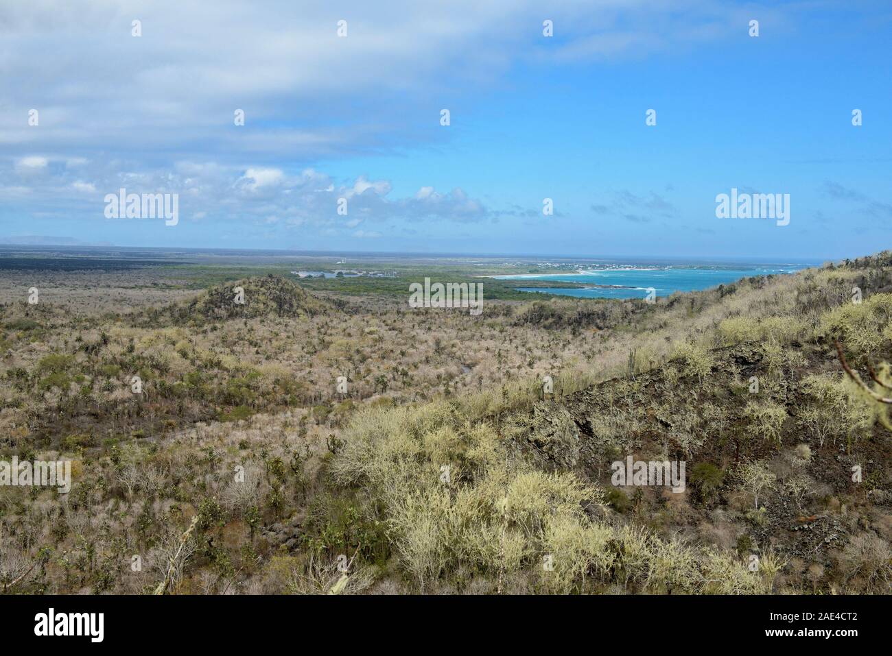 Panoramic view of Isla Isabela, Galapagos Islands, Ecuador Stock Photo