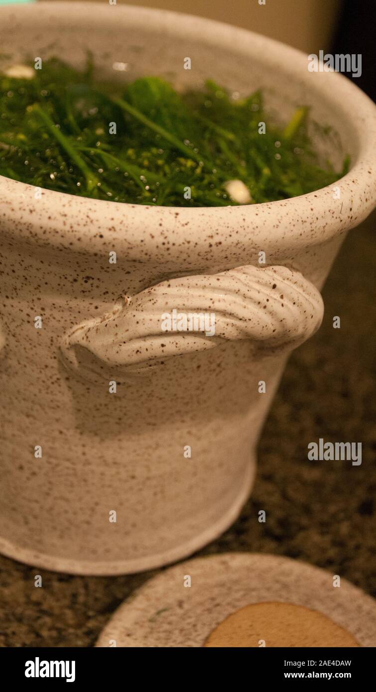 Making Pickles in a Crock Stock Photo Alamy