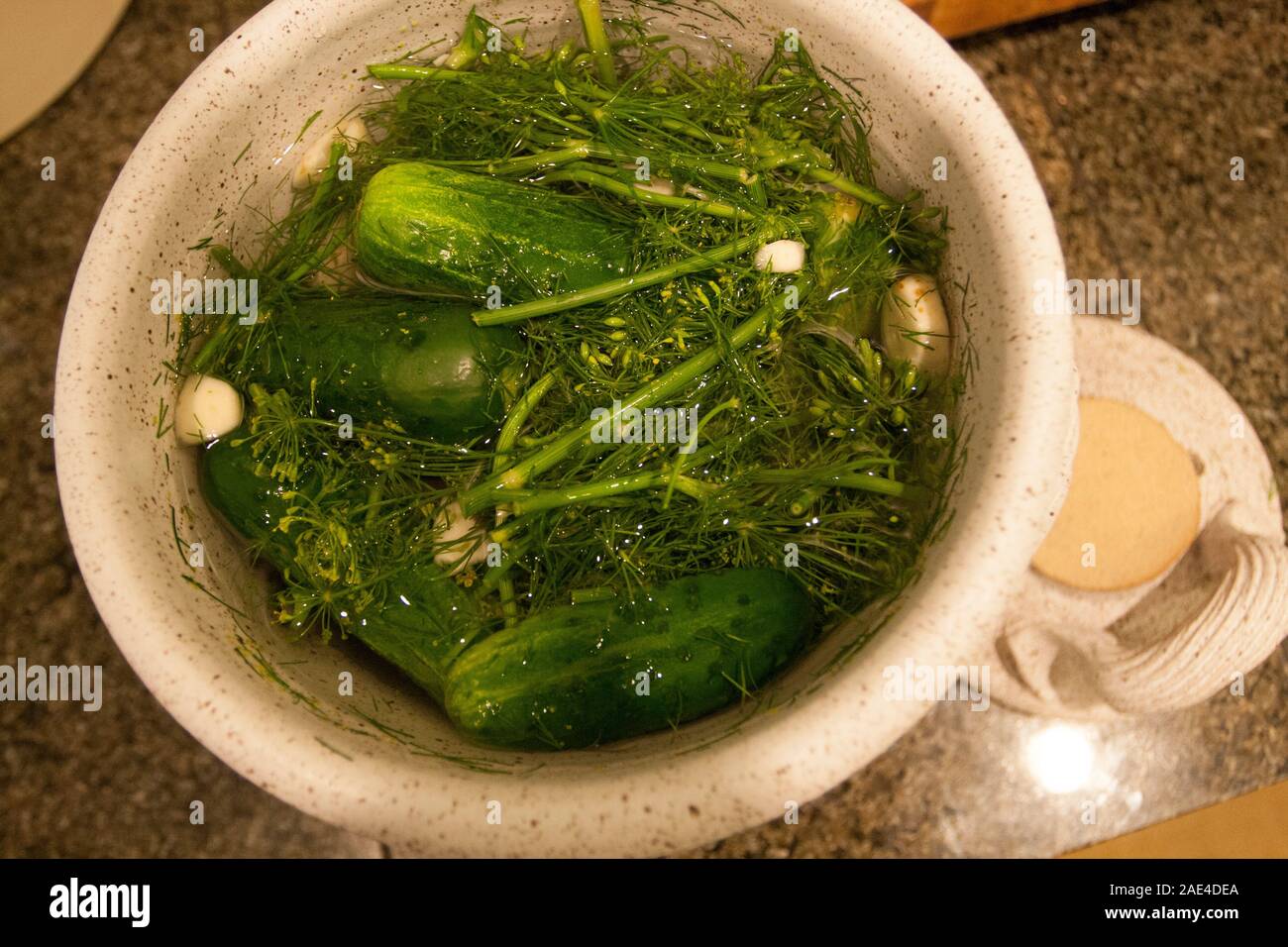 Making Pickles in a Crock Stock Photo Alamy