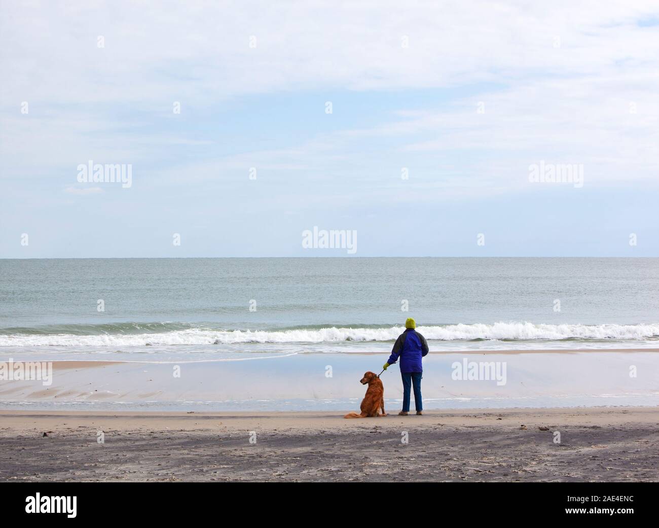 Women and pet golden retriever gaze out at the Atlantic ocean on the shore of Assateague Island national seashore Stock Photo