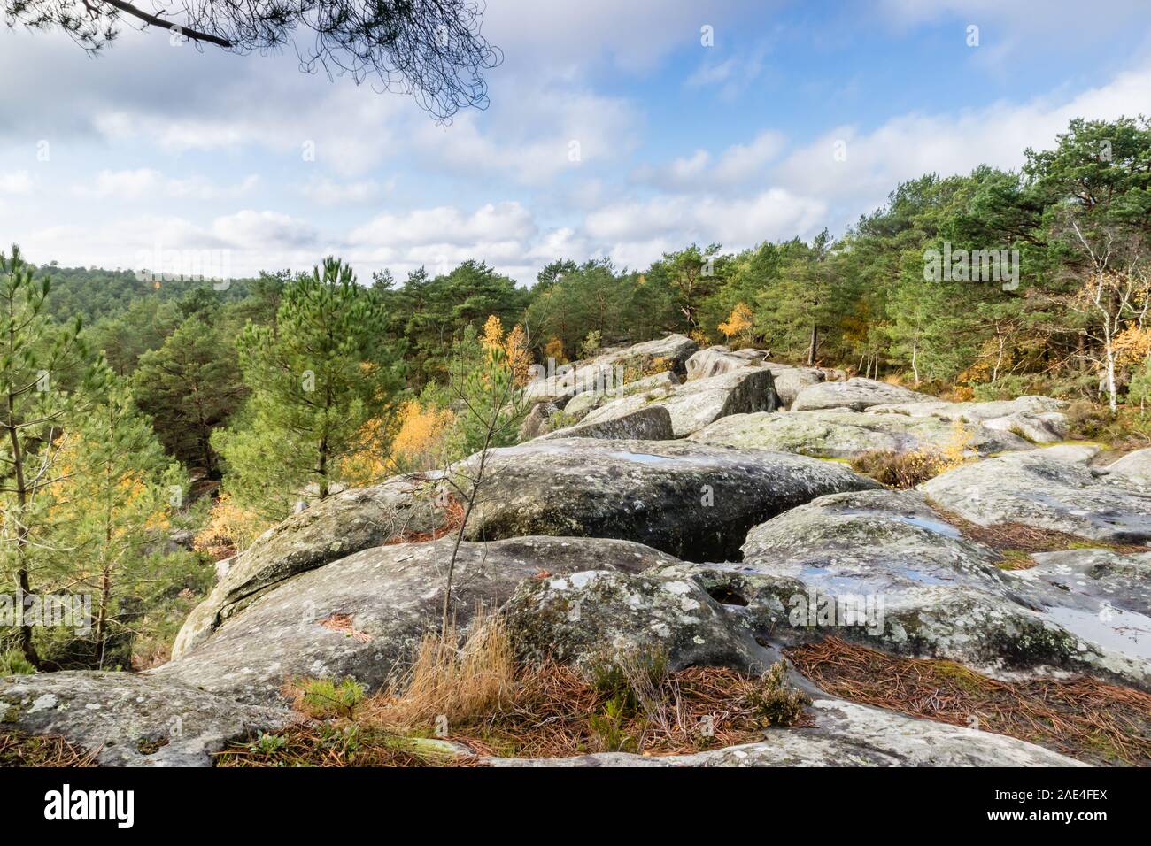 fontainebleau-circuit-hi-res-stock-photography-and-images-alamy