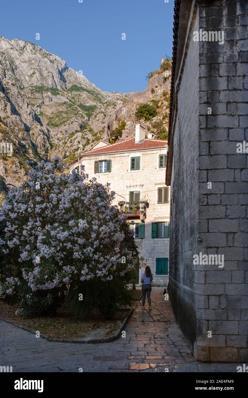 Trg od Drva (Timber Square), Crkva Svete Marije Koleđate (St. Mary's Collegiate Church) and St. John's Hill beyond, Kotor, Montenegro Stock Photo