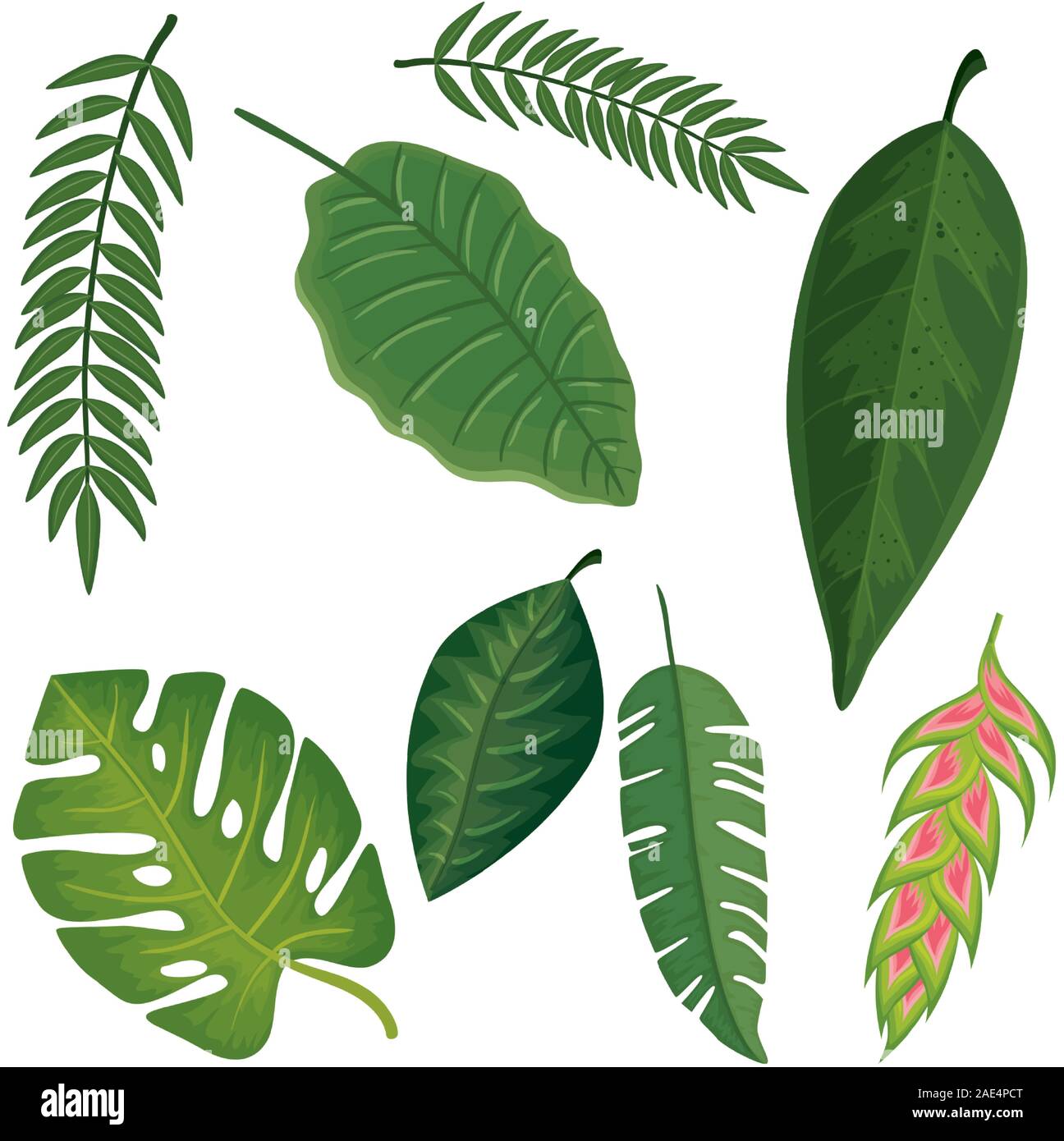 background of flower heliconia with leafs tropicals Stock Vector Image ...