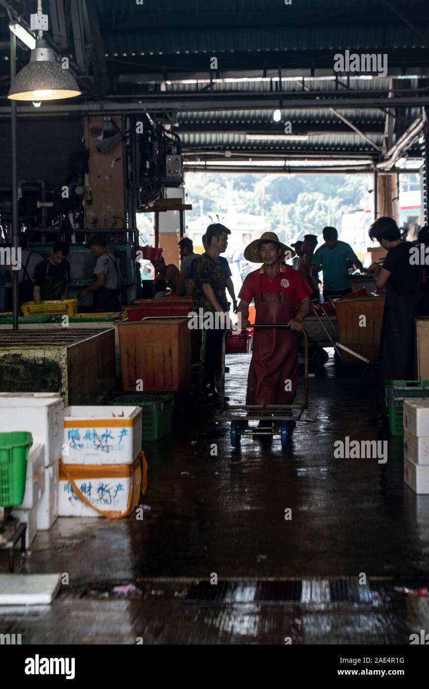 Workers and fishermen in Hong Kong Island's Aberdeen Harbour fish market prepare their catches for sale Stock Photo