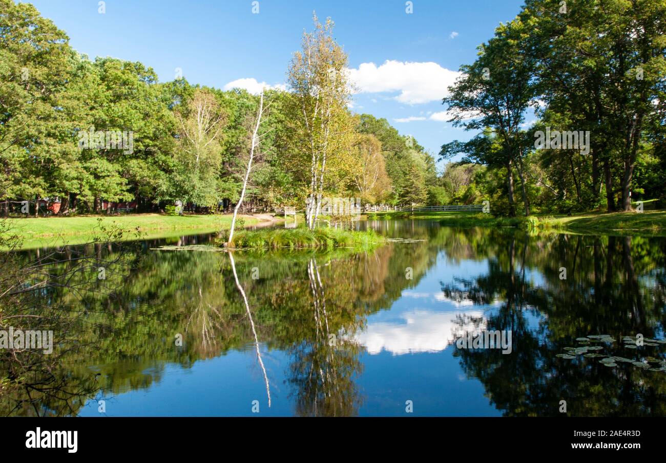 Conservation area in Endicott Park, Danver, MA Stock Photo Alamy