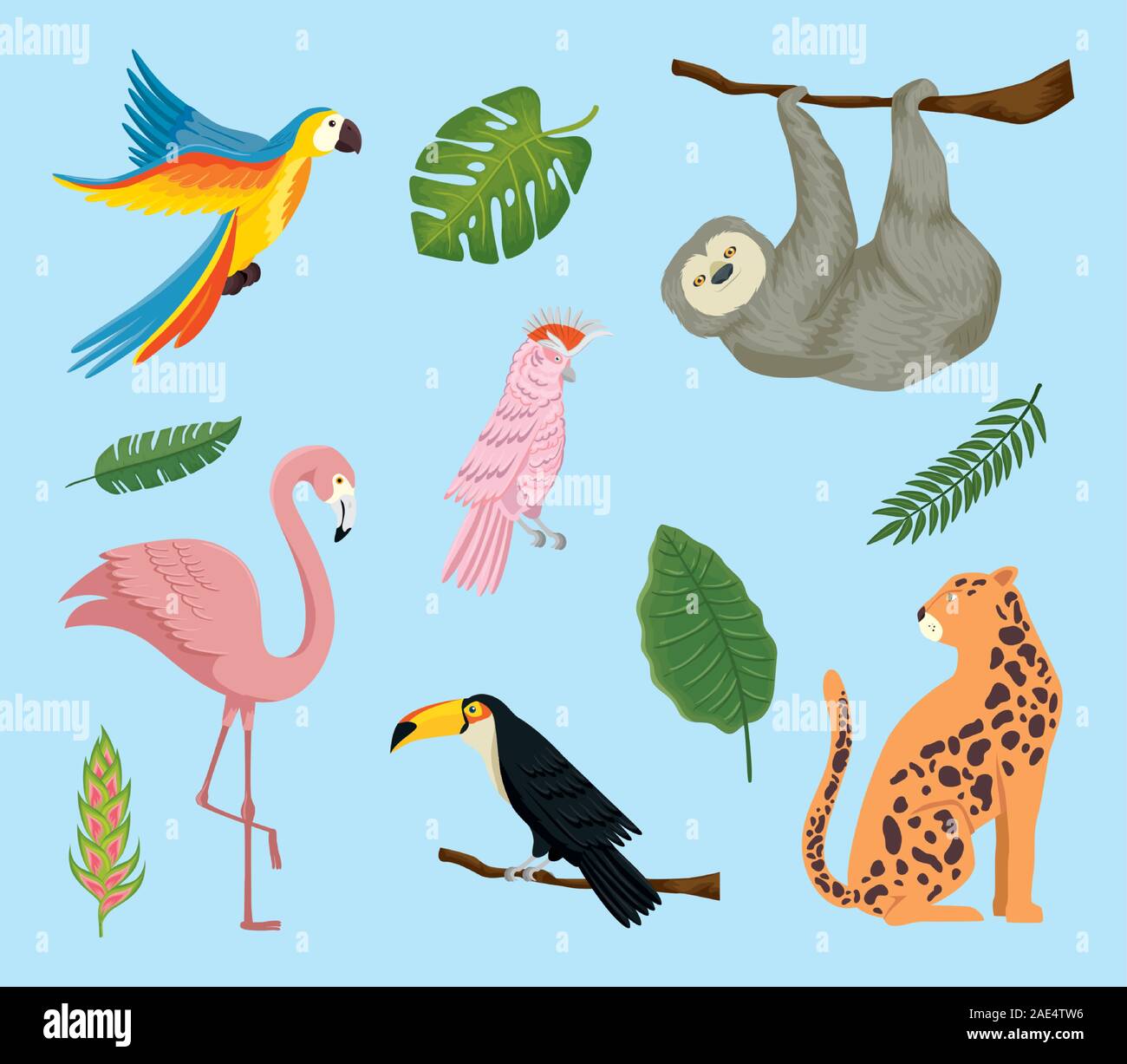 set of animals exotics tropicals Stock Vector Image & Art - Alamy
