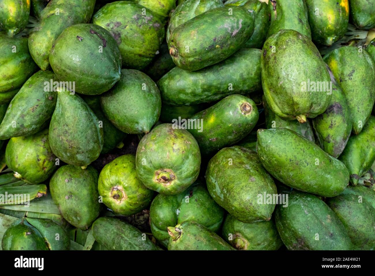 Display of many papayas or pawpaws in a bright green skin found for sale in a railroad market in Mandalay, Myanmar (Burma) Stock Photo