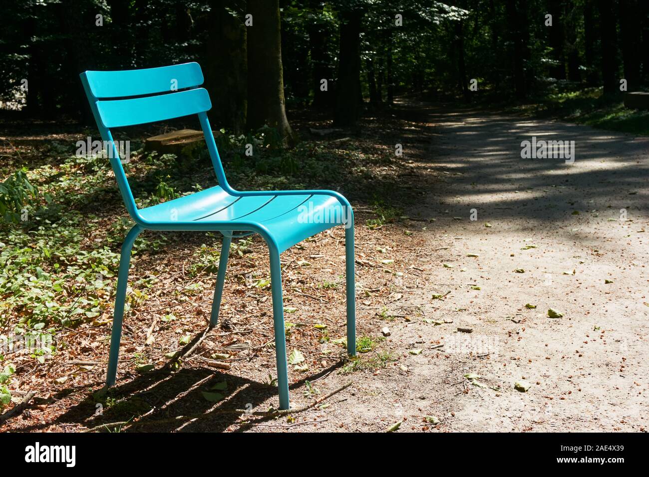 Modern sun-lit blue green shiny plastic chair in dark forest with copy space Stock Photo