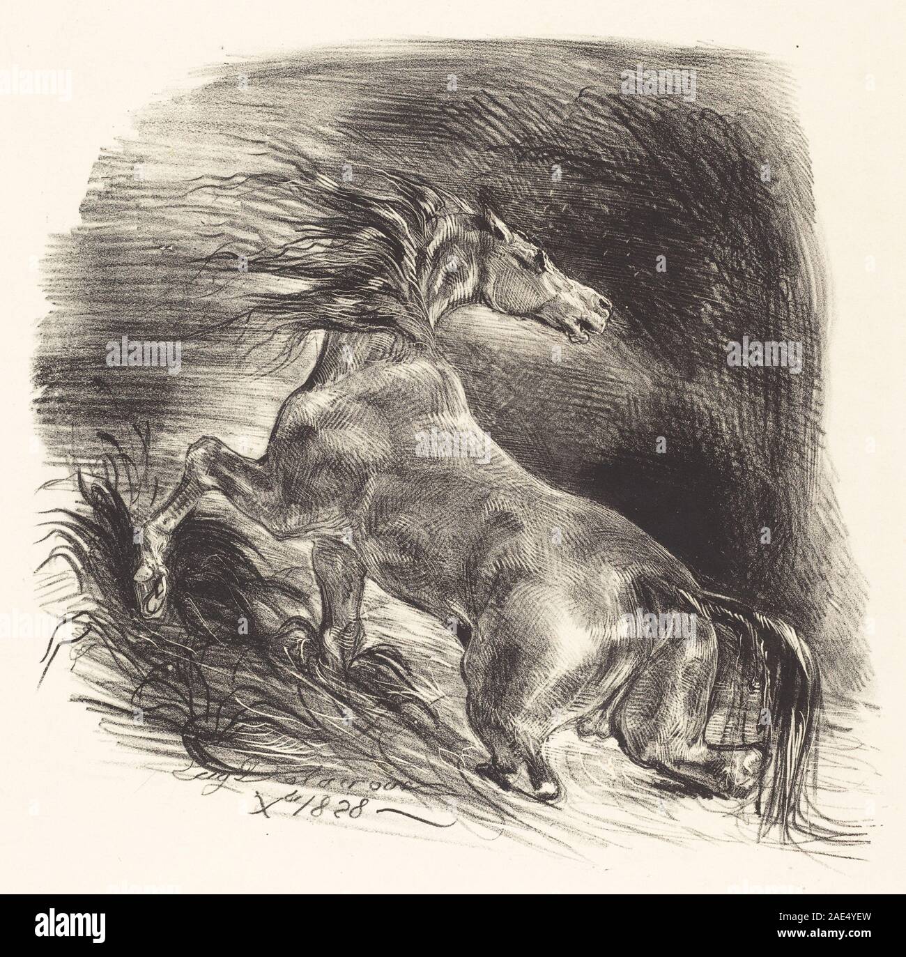 Wild Horse Coming out of the Water (Cheval sauvage); 1828date Eugène Delacroix, Wild Horse Coming out of the Water (Cheval sauvage), 1828 Stock Photo