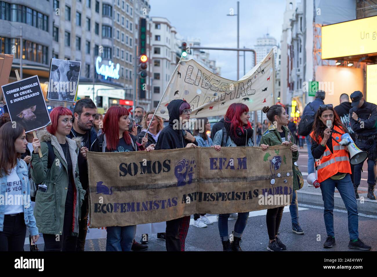 A group of Feminist animal welfare protesters carries a banner along Gran Via, Madrid. A small poster reads 'Eating animals is cruel and unnecessary' Stock Photo