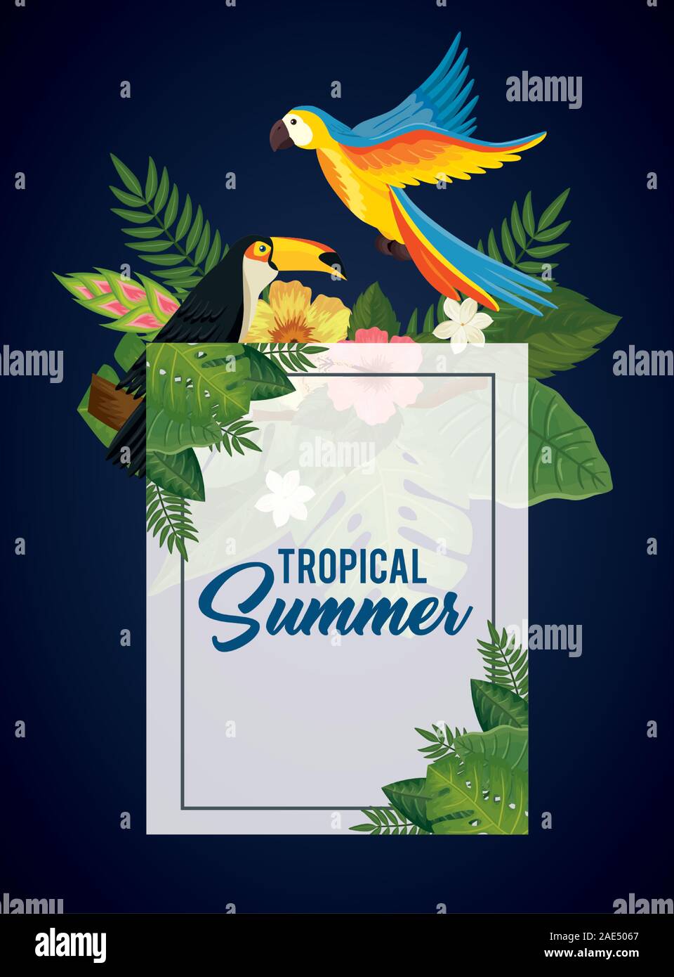 tropical summer poster with parrot and toucan Stock Vector Image & Art ...