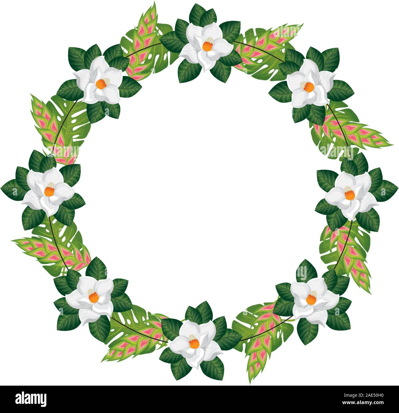 frame circular of flowers with leafs isolated icon Stock Vector Image ...