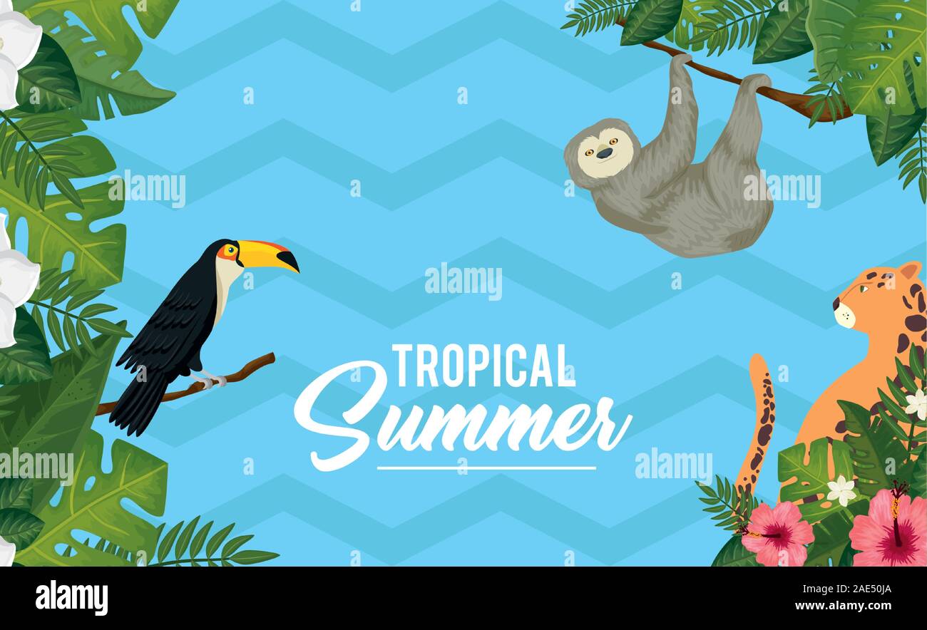 tropical summer poster with animals exotics and leafs Stock Vector ...