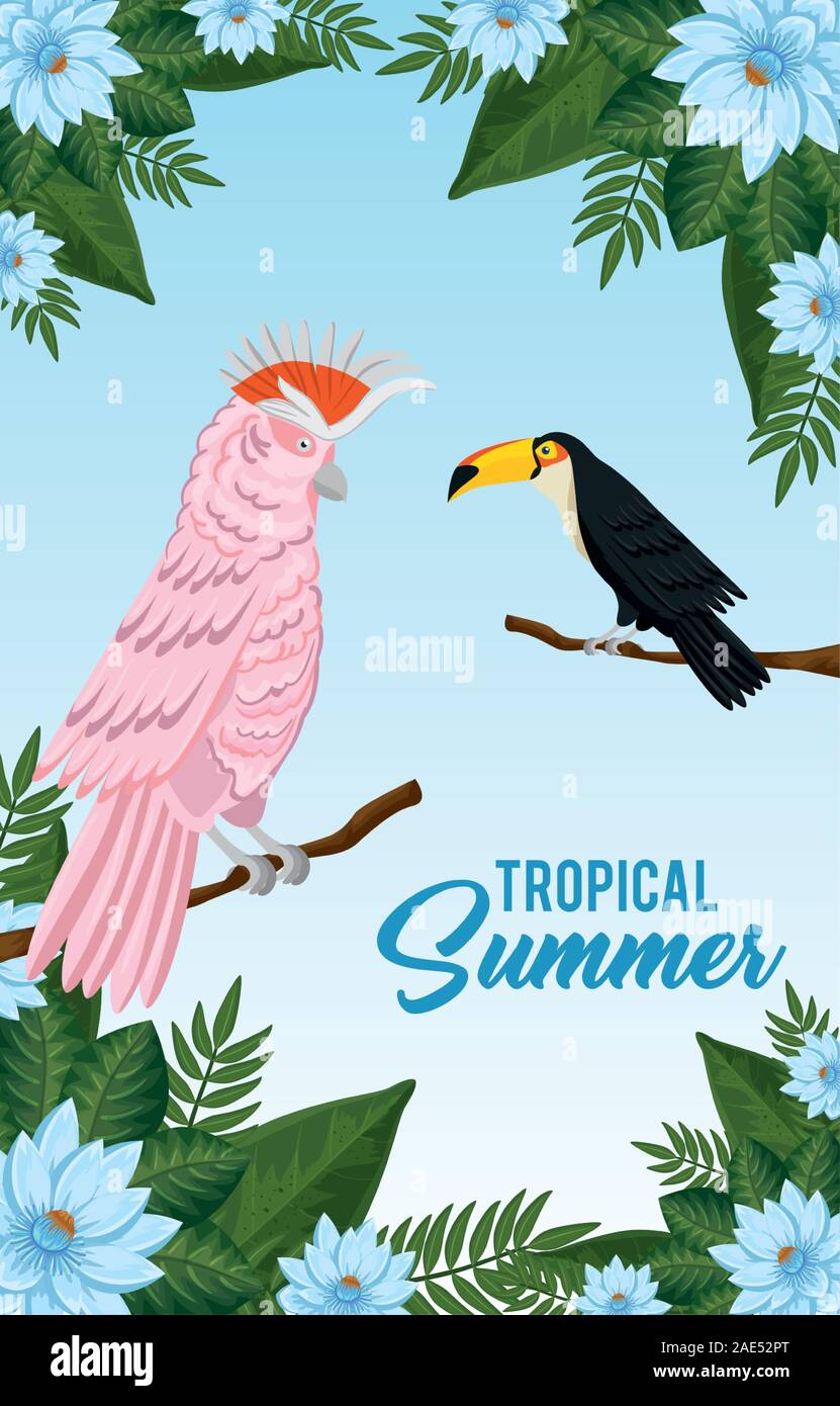 tropical summer poster with parrot and toucan Stock Vector Image & Art ...