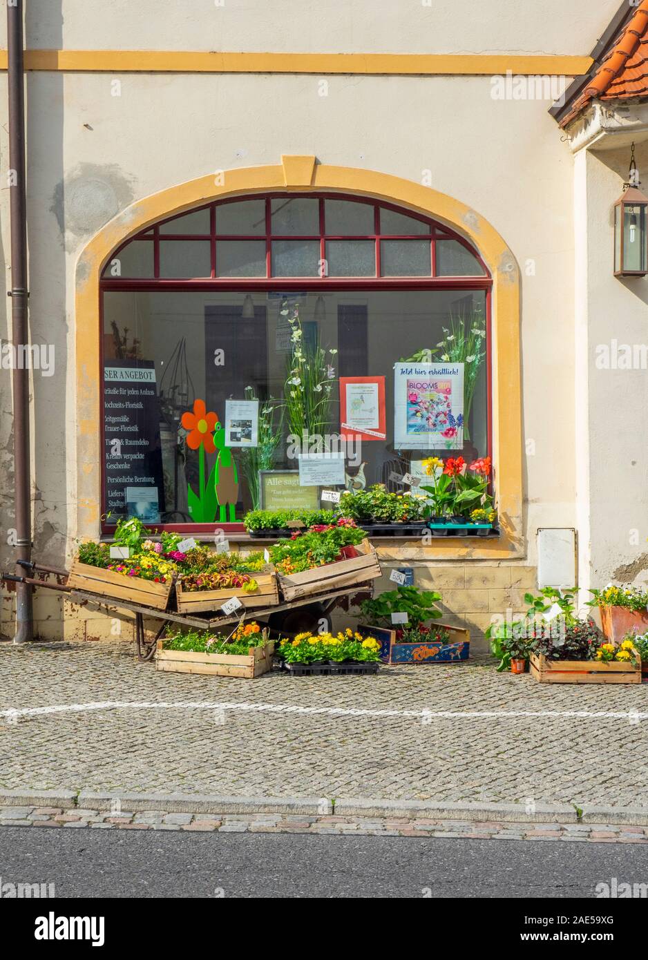 Florist window display hires stock photography and images Alamy