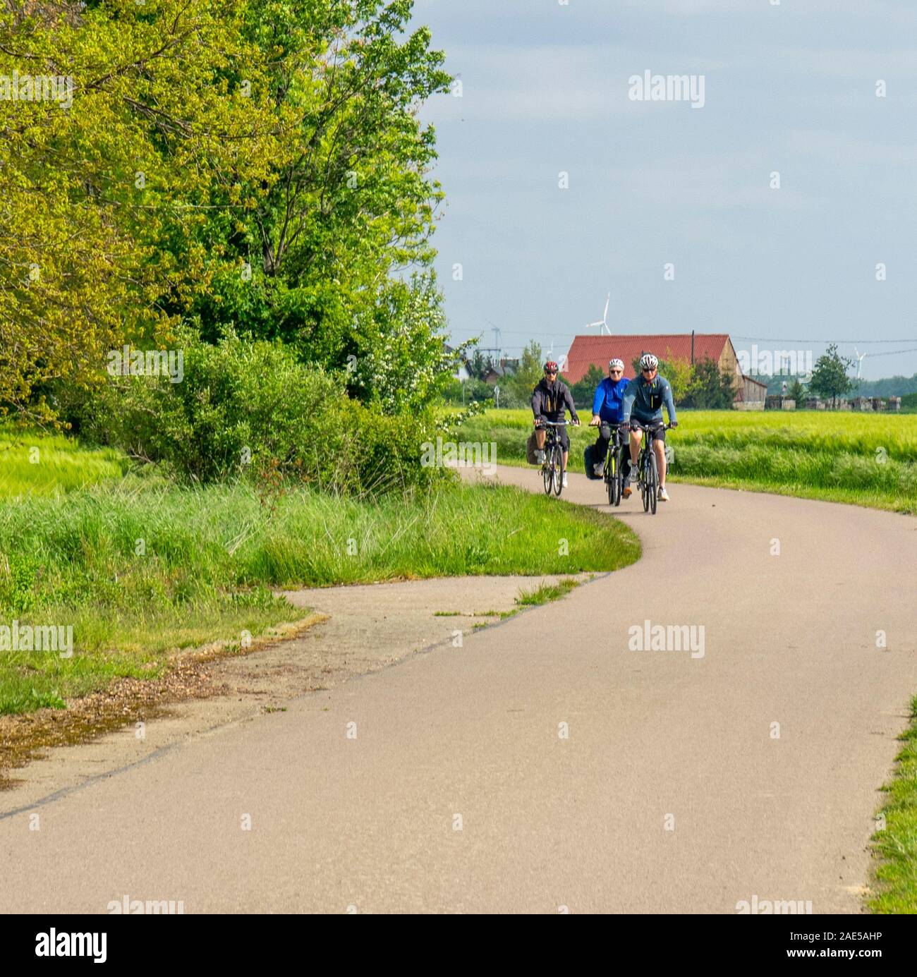 Touring cyclists riding on Elbe Cycle Route cycling on a country road  Saxony Germany Stock Photo - Alamy