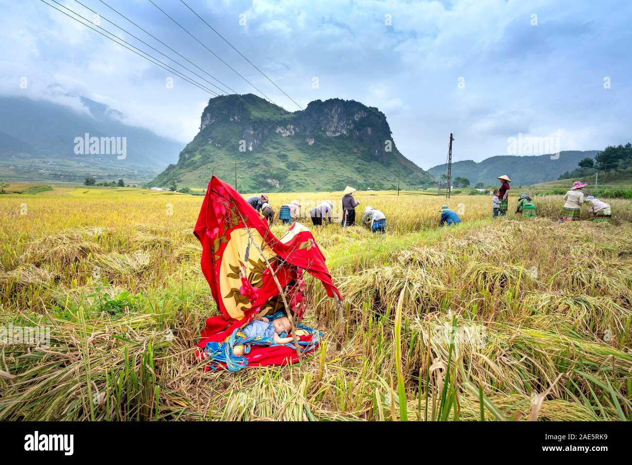 Lai Chau Province, Vietnam - September 20, 2019: Images of ethnic minority babies sleeping in a sun-shielded paddy field for parents to have time to h Stock Photo