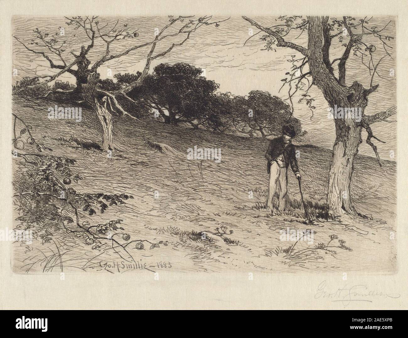 Orchard; 1883date Henry Smillie, Orchard, 1883 Stock Photo Alamy