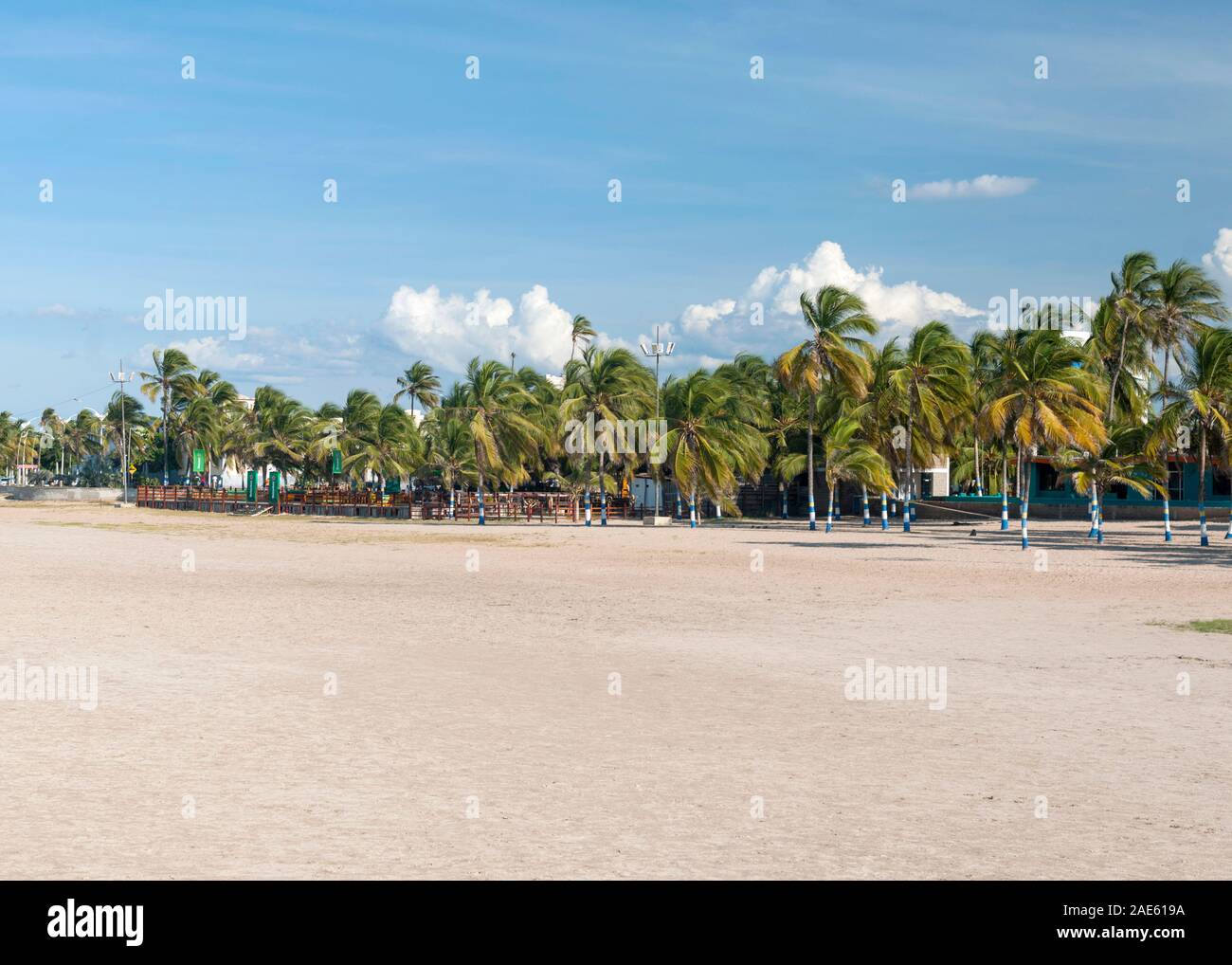 Plam trees on the beachfront of the town of Riohacha in the Guajira peninsula of northern Colombia. Stock Photo