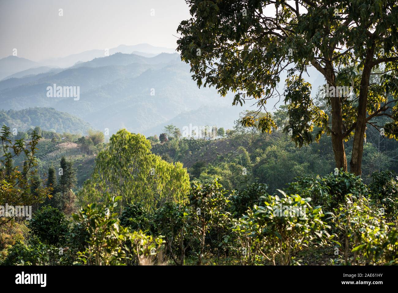 Landscape near of the Phongsali, Laos, Asie Stock Photo
