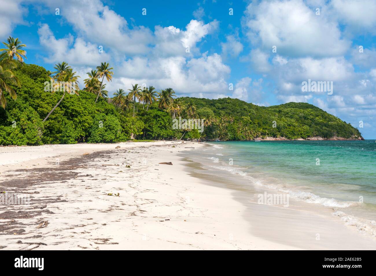 Manzanillo beach on the island of Providencia in Colombia. Stock Photo