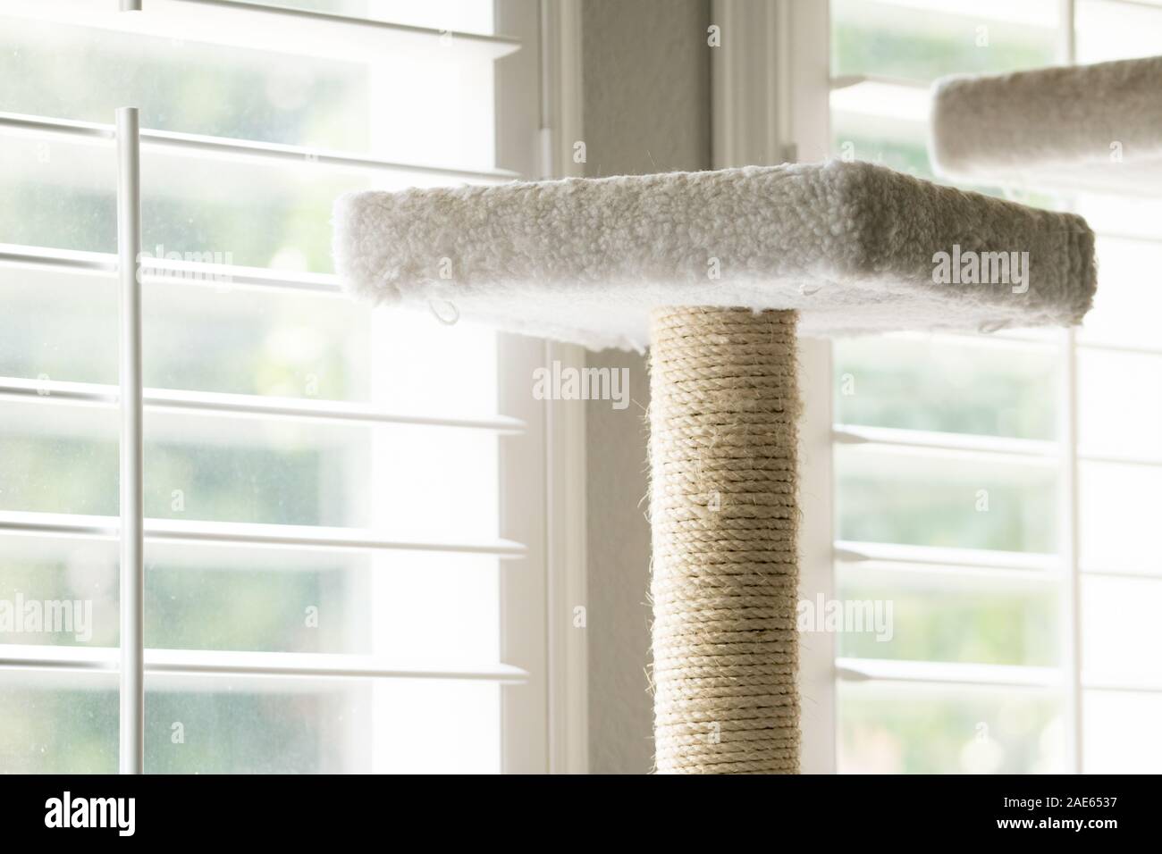 white wool twine rope cat tree bed next to window inside house Stock