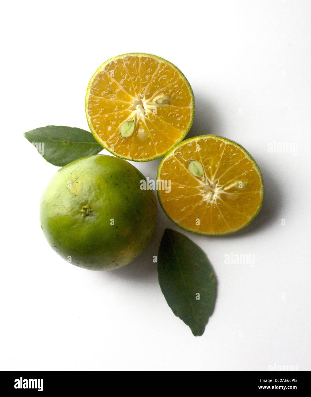 Group of fresh green citrus fruits and their leaves which have orange
