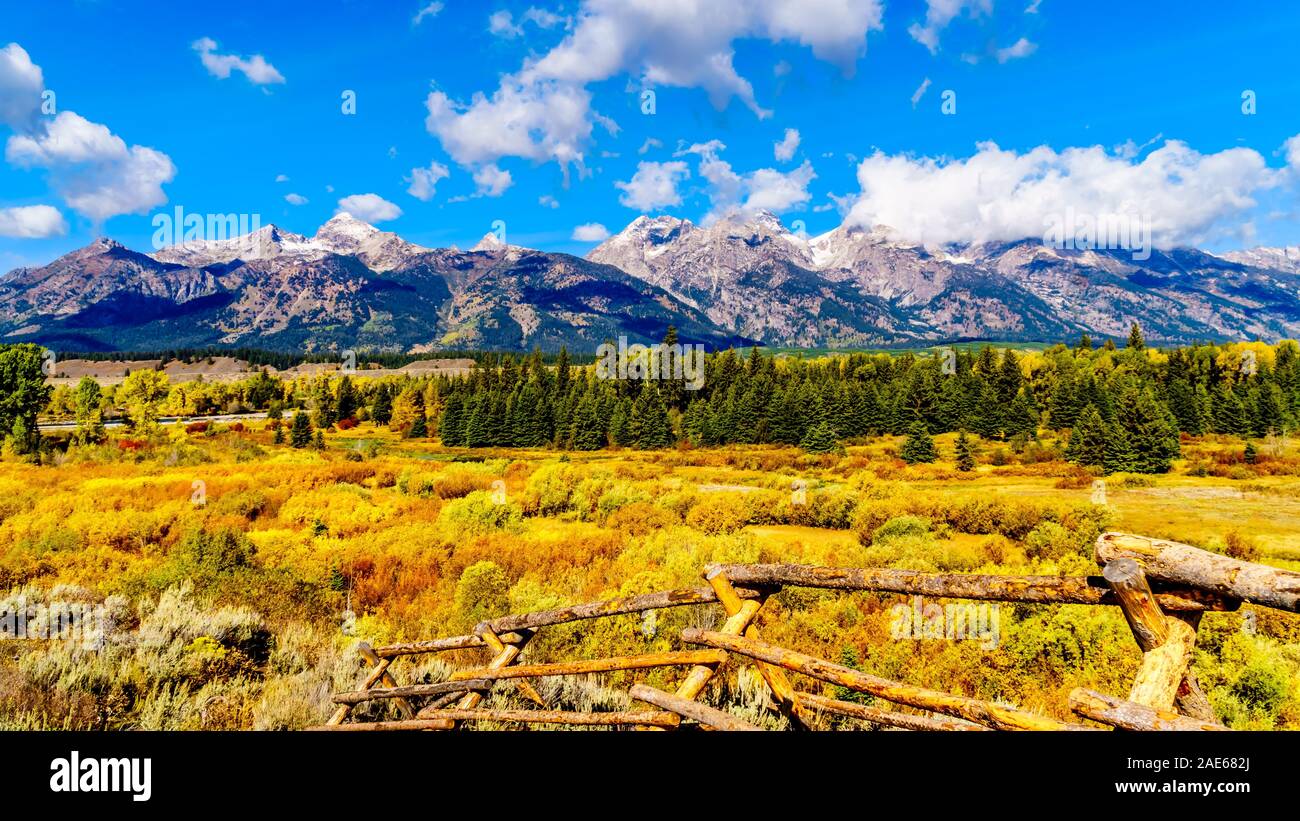Fall Colors surrounding the Cloud covered Peaks of the Grand Tetons In Grand Tetons National Park. Seen from Black Ponds Overlook near Jackson Hole WY Stock Photo