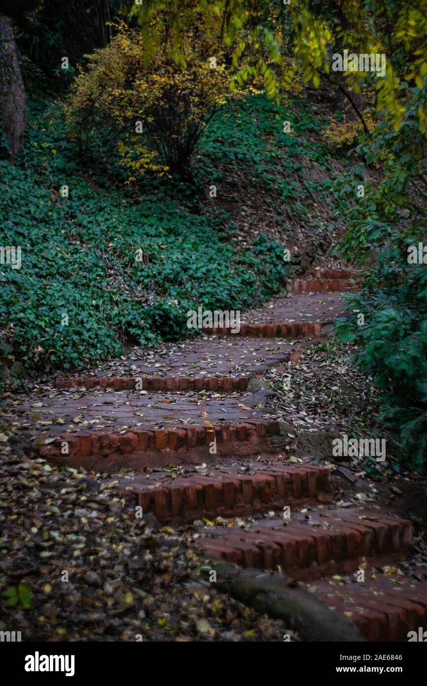Autumnal park with pathway and yellow leaves Stock Photo - Alamy