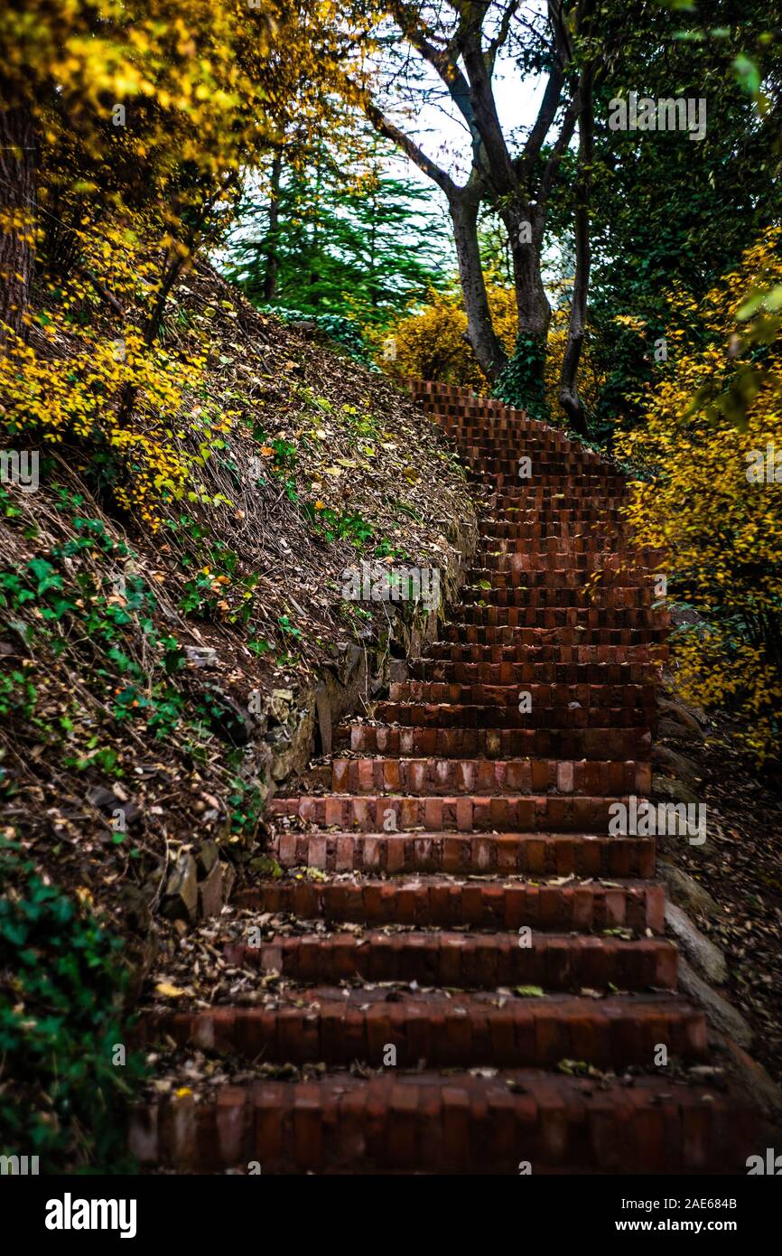 Autumnal park with pathway and yellow leaves Stock Photo - Alamy