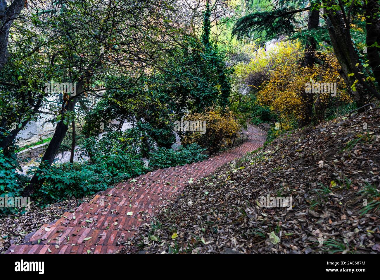 Autumnal park with pathway and yellow leaves Stock Photo - Alamy