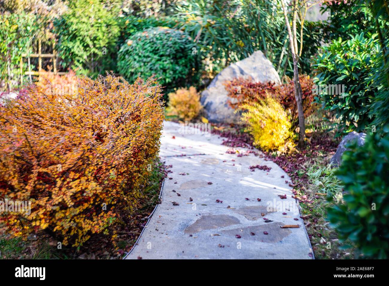 Autumnal park with pathway and yellow leaves Stock Photo - Alamy