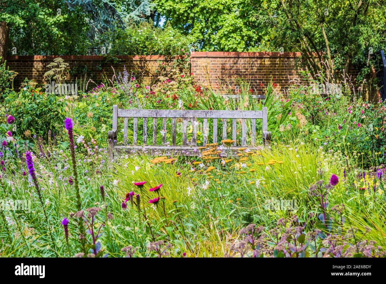 Rustic wooden Bench among a field of wildflowers taken in a walled English Garden Stock Photo