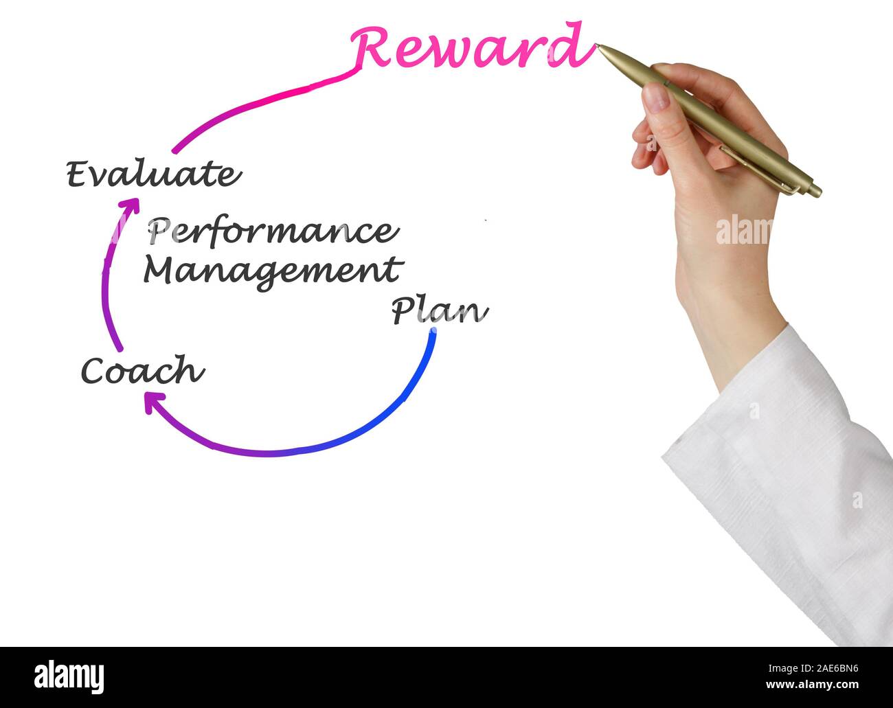 Diagram of Performance Management Stock Photo - Alamy