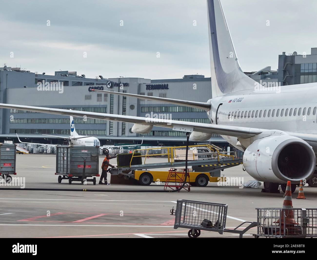 Airport employee loads the luggage of passengers in the luggage ...