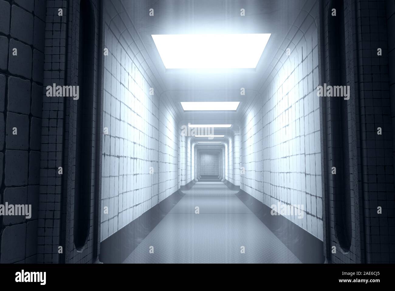 Stuck In A Loony Bin