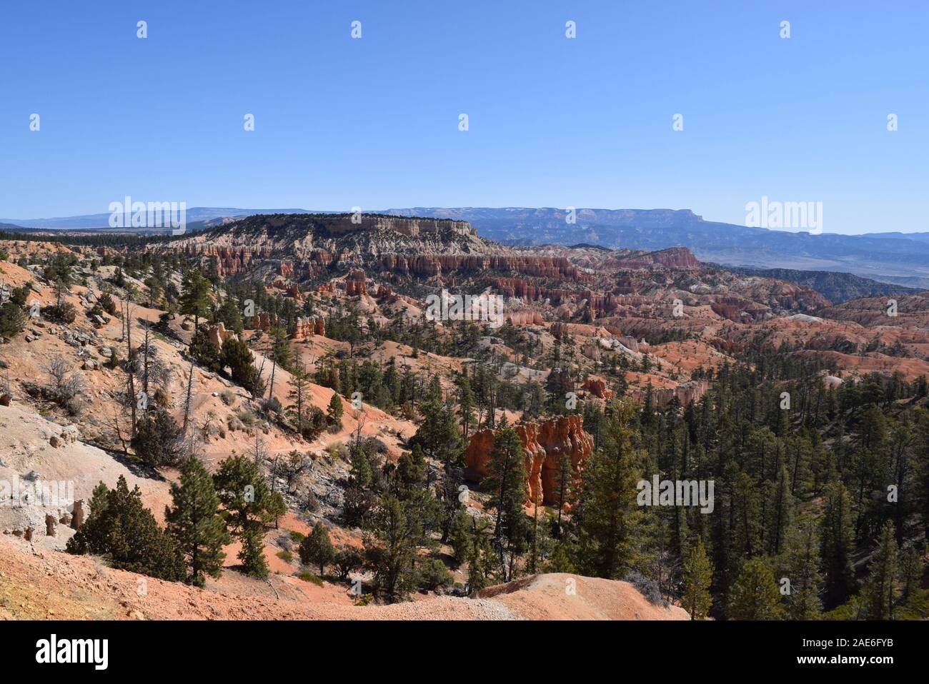 View of the Colorado Plateau in the distance from Bryce Canyon national park. Stock Photo
