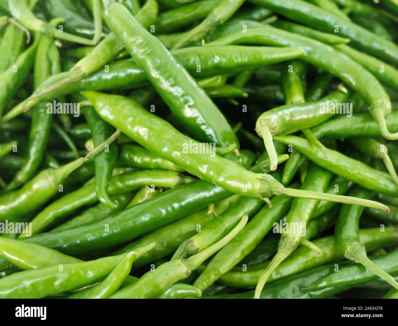 Green hot spicy chili peppers at the market counter Stock Photo - Alamy