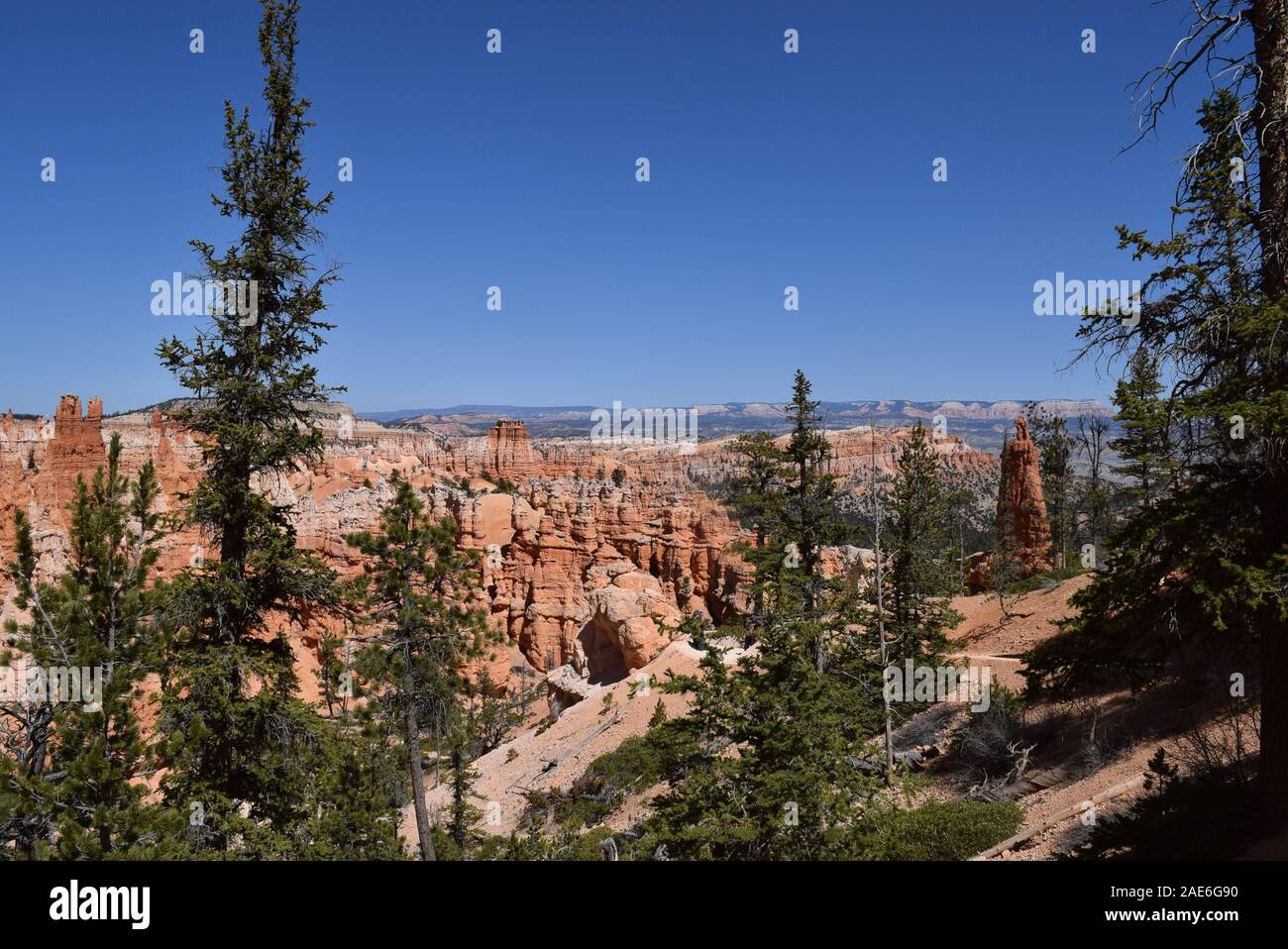 Some of the many hoodoos present at Bryce Canyon, formed through millions of years of geological activity on the Colorado Plateau. Stock Photo