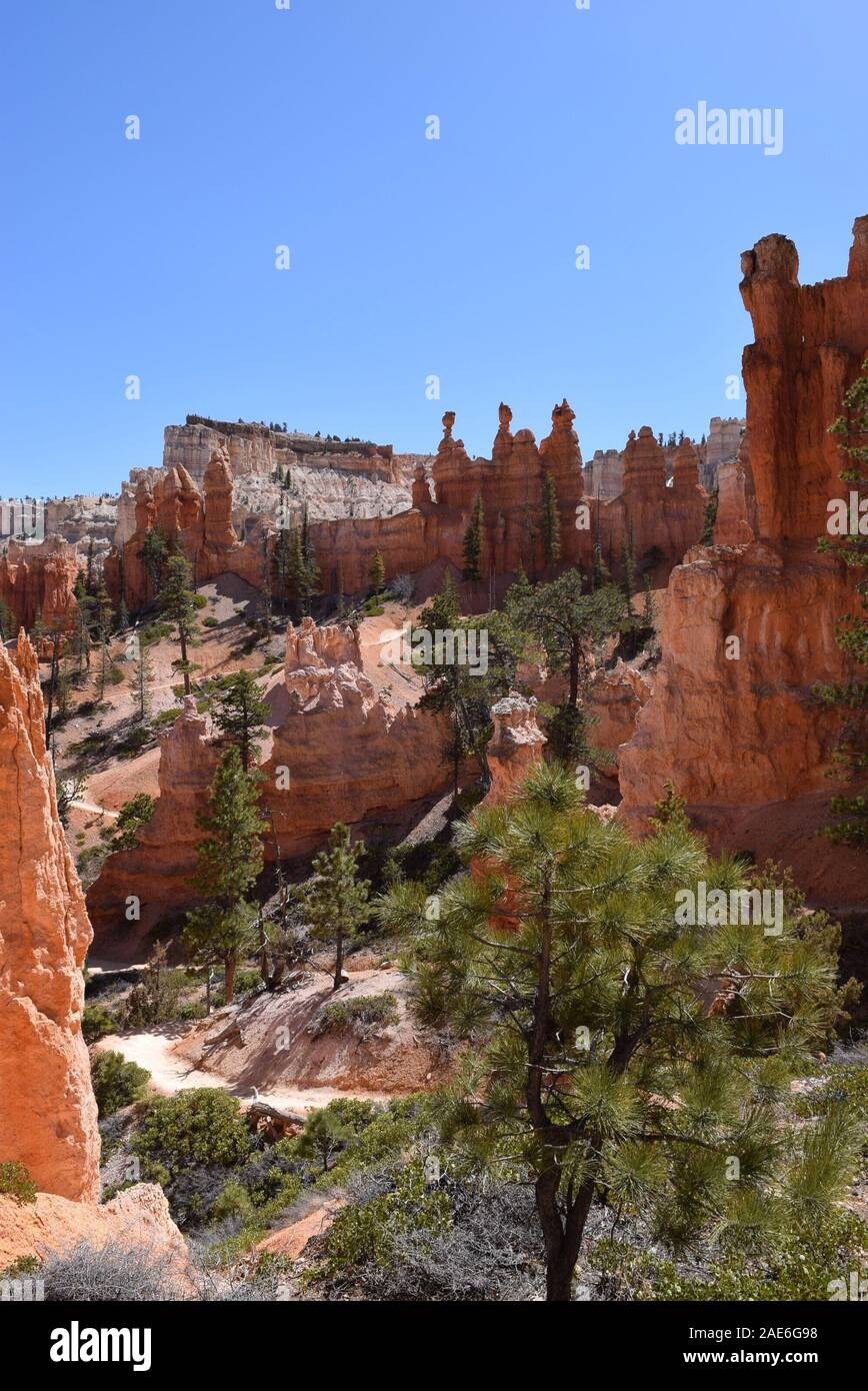 Some of the many hoodoos present at Bryce Canyon, formed through millions of years of geological activity on the Colorado Plateau. Stock Photo