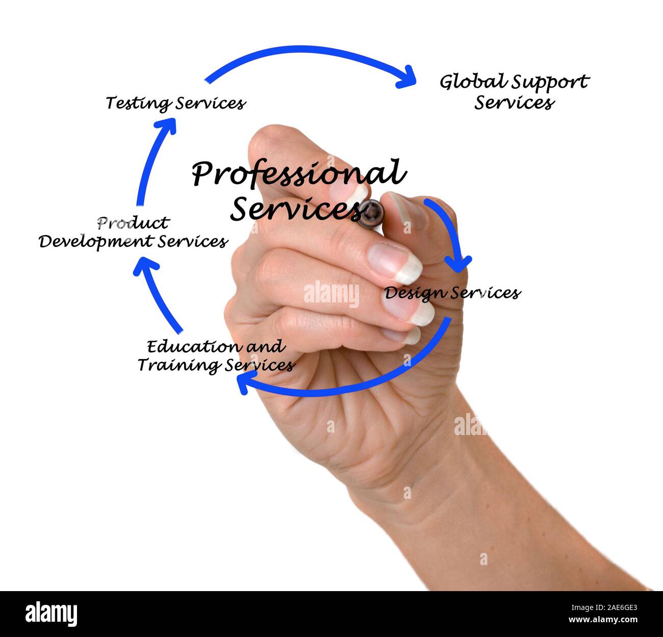 Diagram of professional services Stock Photo Alamy