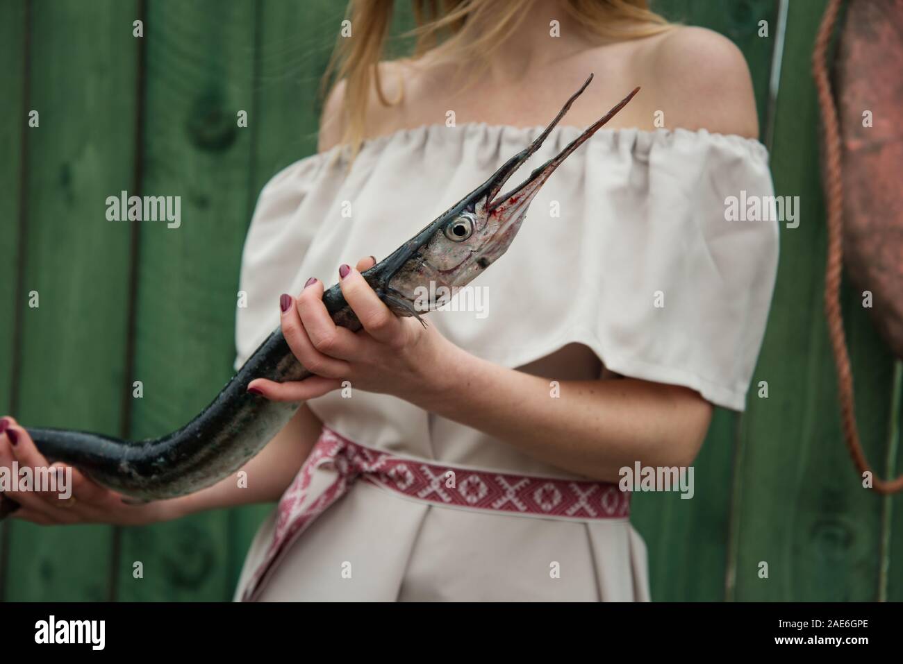 Fisherwoman with garfish in her hands. Stock Photo