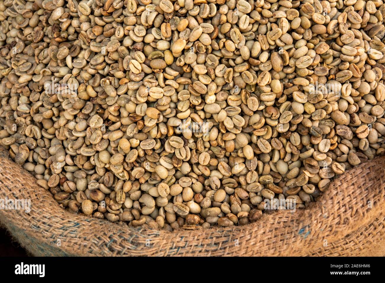 Eth549Ethiopia, Amhara Region, Gondar, Arada Market, sack of raw coffee beans Stock Photo