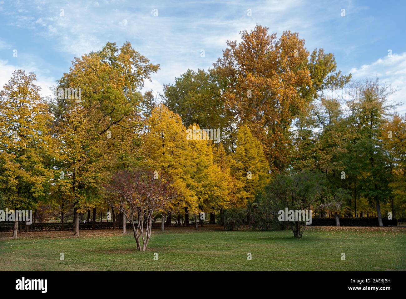 park with different types of trees all with their colorful foliage by